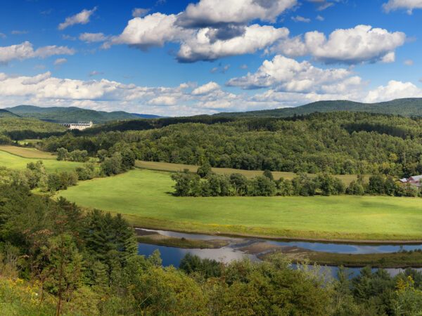 Landscape of a forest and body of water under a blue sky.