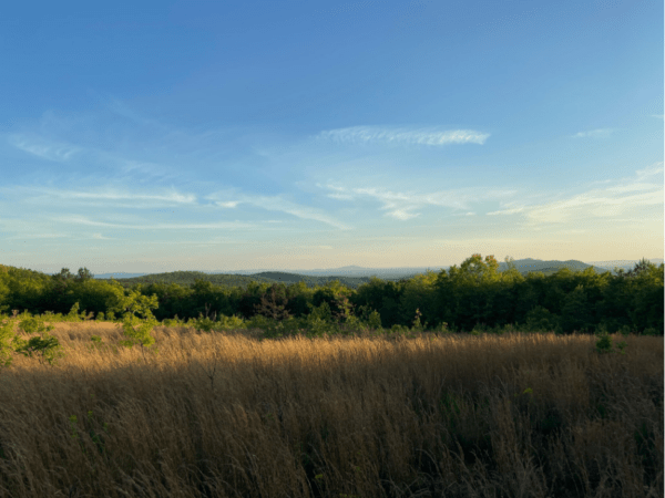 View from the top of Bhakti Mountain at Just Love Forest