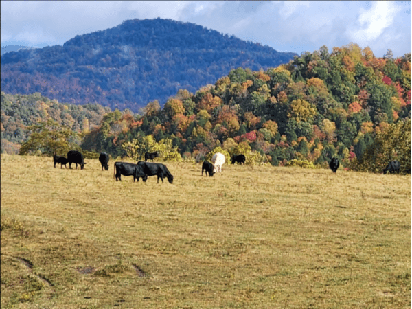 Smith family farm in the Fall